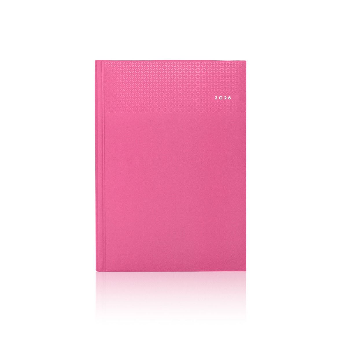 NEW 2026 Castelli Day Per Page Diary