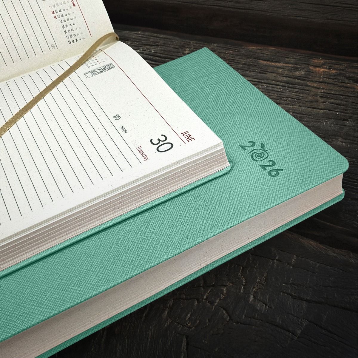 ๐ NEW Apple Peel 2026 Castelli Diary