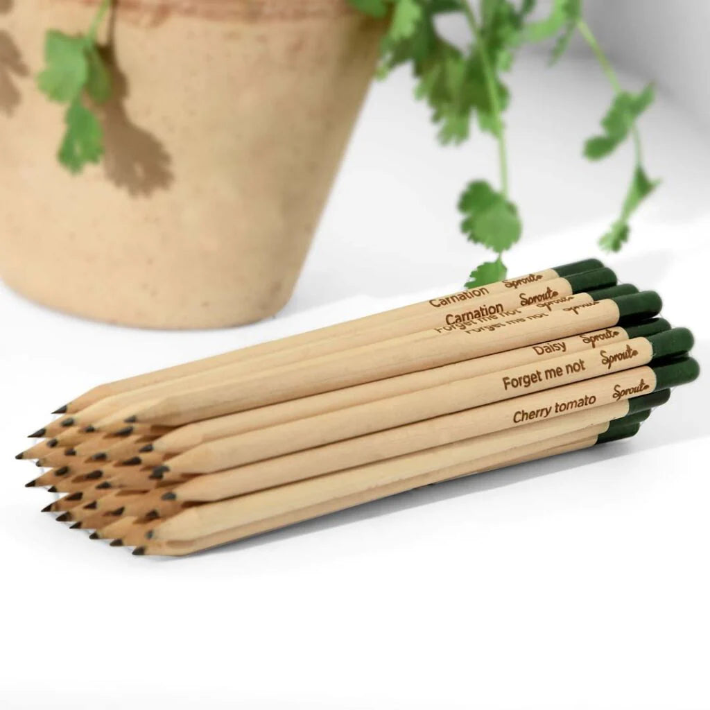Sprout Pencils
